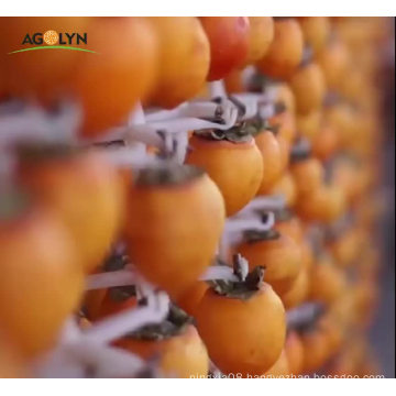 Wholesale Unprocessed Dried Persimmon without Sugar